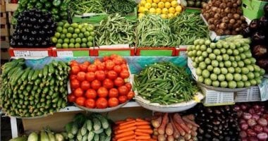 الكوسه بـ25 جنيها.. استقرار أسعار الخضراوات بأسواق بورسعيد اليوم الثلاثاء