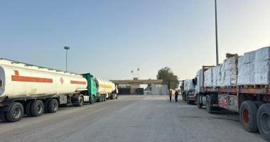 مد غزة  بالمساعدات الغذائية ضمن قافلة زاد العزة الـ 125
