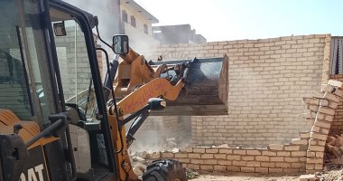 إزالة 32 حالة تعدٍّ على 4 أفدنة بالإسماعيلية ضمن المرحلة الأولى من الموجة الـ28