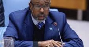 مجلس الأمن: محاولات فرض واقع سياسى جديد على أفريقيا يخلق سابقة خطيرة