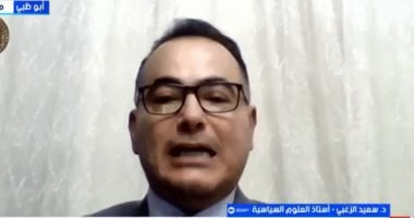 أستاذ علوم سياسية: الهيئات الدولية عاجزة عن تنفيذ قراراتها فى غزة