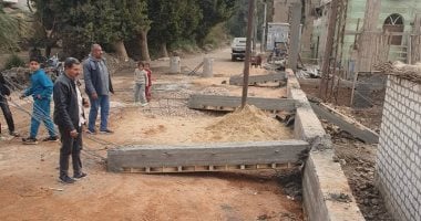 إزالة 5 حالات تعدٍ على الأراضى الزراعية بمركز البلينا فى سوهاج