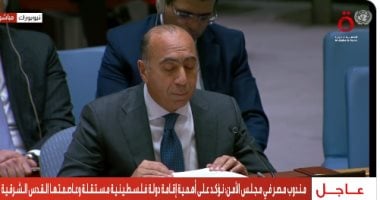 مندوب مصر بمجلس الأمن: السلام الشامل بالمنطقة يستلزم خطوات حاسمة ابرزها انسحاب إسرائيل من الجولان