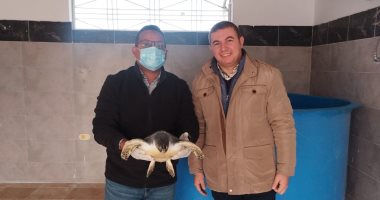 «إيرينى» تعود لموطنها.. ملحمة إنقاذ سلحفاة نادرة بالدقهلية احتفالا بيوم البيئة الوطنى 