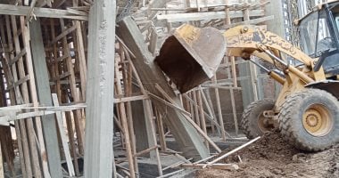 إزالة تعديات على الأراضى الزراعية وأملاك الدولة بمحافظة الدقهلية