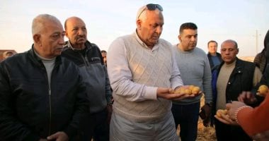 بشائر موسم حصاد البطاطس بالوادى الجديد على مساحة 7275 فدانا.. تطبيق منظومة الجمع الآلى بالعروة الشتوية فى أبو منقار بحضور خبراء ومستوردين أجانب.. وإجمالى المساحة المنزرعة بالمحافظة 100 ألف فدان بمواصفات التصدير