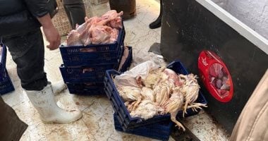 التحفظ على بضاعة محل «كيلو الفراخ بجنيه»