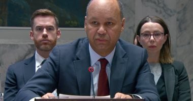 بريطانيا تؤكد دعمها لتنفيذ خطة السلام فى غزة وبناء مستقبل سلمي قائم على حل الدولتين