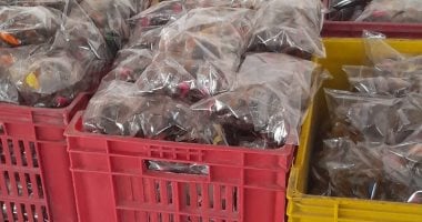 حملات تموينية مكبرة بطنطا تضبط مصانع غير مرخصة وسلع غذائية فاسدة