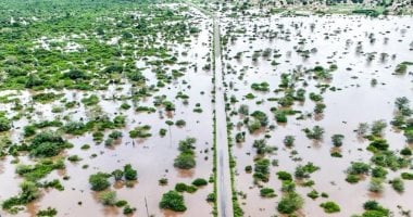 لماذا اقتحمت التماسيح الأحياء السكنية فى موزمبيق؟.. فيديو