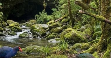 عمرها مليون عام.. اكتشاف حفريات فى كهف بنيوزيلندا تعود للعصر الجليدى