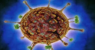 فيروس نيباه ينطلق من كندا ويثير ذعرا عالميا.. منظمة الصحة تكشف الكواليس