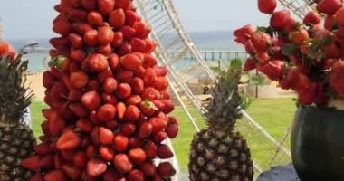 أجواء الشتاء تنعش فنادق الغردقة.. مهرجانات الفواكه الشتوية تجذب السياح الأوروبيين على شواطئ البحر الأحمر.. رواج كبير للرحلات والألعاب البحرية والاستمتاع بالطقس الدافئ.. وإقبال على زيارة الجزر.. صور