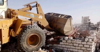 محافظة الوادى الجديد: استرداد 2980 فدانا أملاك دولة ضمن الموجة 28 لإزالة التعديات