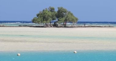 حماطة.. حيث يلتقي سحر البحر الأحمر برحلة الطيور المهاجرة