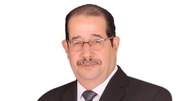 عادل عفيفي نقيبا للمحامين بجنوب الشرقية.. وعبدالرحيم عبداللطيف لقطاع الشمال