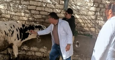 تحصين 63 ألفًا و977 رأس ماشية ضمن حملة مواجهة الأمراض الوبائية بالمنيا