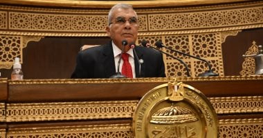 مطالب برلمانية بحظر التيك توك وغلق الفيس بوك للحفاظ على الأجيال الجديدة 