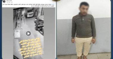 كشف لغز فيديو تحريض كلب لعقر طفل بالمحلة الكبرى