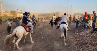 قراءة القرآن وسباقات الخيول.. فعاليات مولد سيدى أبوالحجاج بالأقصر