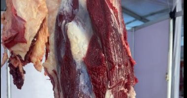 كيلو الكندوز بـ280 جنيه.. أحلى عروض أهلا رمضان في المتحف الزراعي بالدقي.. فيديو