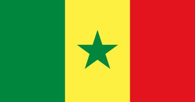 السنغال تطلق مشروعًا للاتصال الشامل بالإنترنت