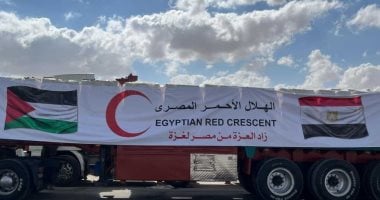 المساعدات المصرية لفلسطين