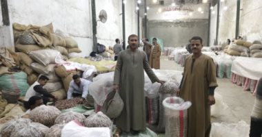 «السكوتي والقندلية والبرتمودا».. البلح أشكال وألوان داخل سوق بيع الجملة فى الغربية.. الأسعار في متناول الجميع ولا تختلف عن العام الماضي.. وتجار: سوق «العتاسة» قلب تجارة التمور في طنطا.. ويؤكدون: موسم خير.. صور