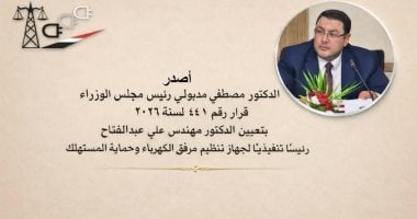 مجلس الوزراء يصدر قرارا بتعيين على عبد الفتاح رئيسا تنفيذيا لجهاز مرفق الكهرباء