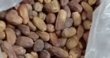 السكوتي وقنديله والشبح.. أنواع التمور بكفر الشيخ والكيلو يبدأ من 20 جنيها.. فيديو
