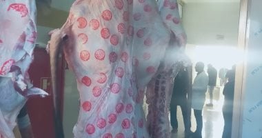 التنمية المحلية تعلن التشغيل التجريبى لمجزر بلطيم بتكلفة 36.7 مليون جنيه