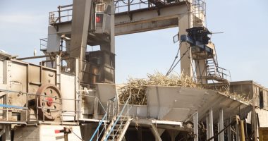 خير بلدنا.. انطلاق موسم حصاد القصب بقوص فى قنا لاستقبال أكثر من مليون طن من الزراعات.. محور الشهيد باسم فكرى كلمة السر فى سرعة نقله بين مركزى قوص ونقادة