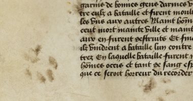 معرض آثار أقدام على الرق يتتبع كيفية تصوير القطط فى العصور الوسطى