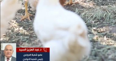 أسعار الفراخ فى رمضان.. رئيس شعبة الدواجن يبشر بخفضها بعد طفرة الإنتاج