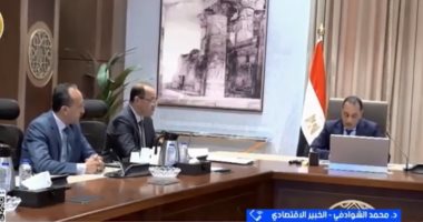 خبير اقتصادي: توطين الصناعة وجذب الاستثمار ركيزة النمو في مصر