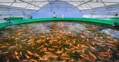 حظر الردم واستعمال معدات رفع المياه بالبحيرات إلا بترخيص