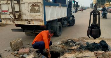 إزالة التعديات على الأراضي الزراعية ورفع كفاءة وصيانة شبكة الصرف الصحي بدسوق