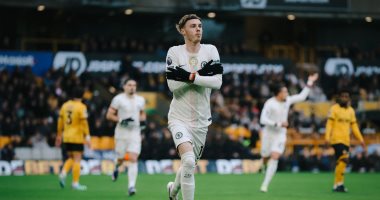 وولفرهامبتون ضد تشيلسى.. هاتريك بالمر يسحق الذئاب فى الشوط الأول