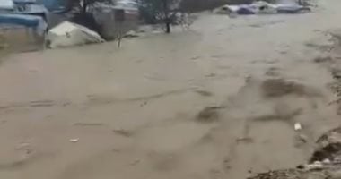 سيول فى سوريا