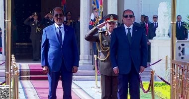 السيد الرئيس عبد الفتاح السيسى ونظيره الصومالى 