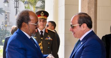 الرئيس السيسى: سنرسل قافلة طبية مصرية للصومال قريبا تتضمن تخصصات طبية مختلفة