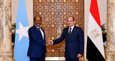 الرئيس السيسى: مصر مستعدة لمشاركة خبراتها فى مكافحة الإرهاب مع الصومال الشقيق