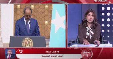 أستاذ علوم سياسية: أمن البحر الأحمر مسؤولية دول الجوار فقط ومصر لن تسمح بأي تدخلات خارجية