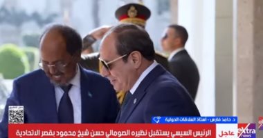 حامد فارس: وحدة الصومال خط أحمر وأمن البحر الأحمر أولوية مصرية