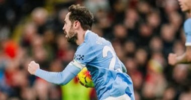 برناردو سيلفا 