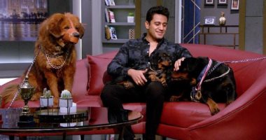 باسم هانط في واحد من الناس: عندى كلب بـ6 ملايين جنيه