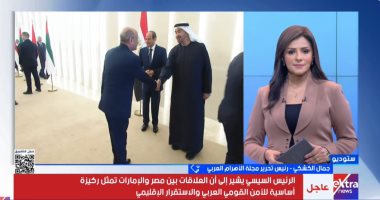 جمال الكشكى: قمة الرئيس السيسى وبن زايد خارطة طريق للاستقرار وتعزز الشراكة