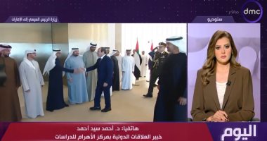 خبير: القمة المصرية الإماراتية تعزز المناعة العربية وتدفع دبلوماسية السلام