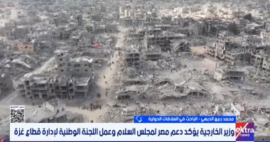 باحث: مصر تعمل وفق استراتيجية شاملة ومتكاملة لدعم القضية الفلسطينية