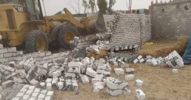 إزالة 17 حالة تعدٍّ على أراضى الدولة والزراعة بالإسماعيلية